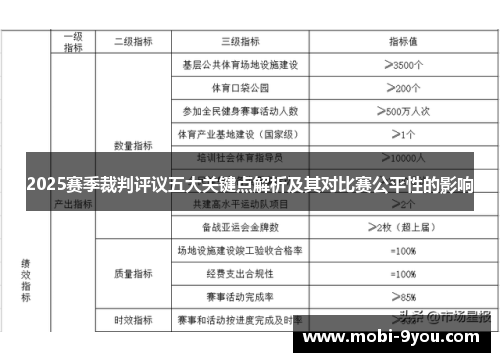 2025赛季裁判评议五大关键点解析及其对比赛公平性的影响