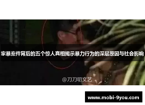 家暴案件背后的五个惊人真相揭示暴力行为的深层原因与社会影响