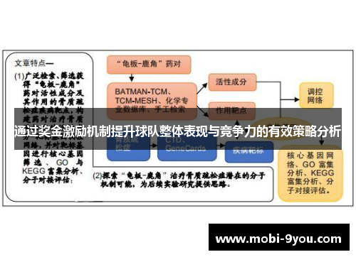 通过奖金激励机制提升球队整体表现与竞争力的有效策略分析
